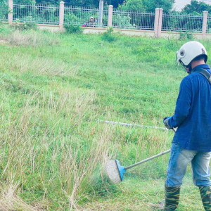 z6908266687514 ffbe165c8c0a5f132dcedbd818f512de